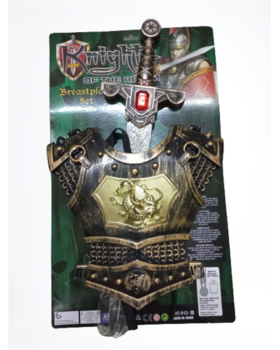 חרב עם שיריון של לוחם