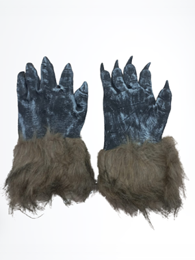 כפפות זאב : image 1 כפפות זאב : image 1