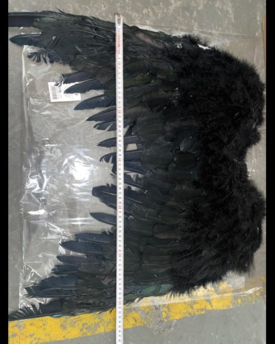 כנפי נוצות שחורות 60*60