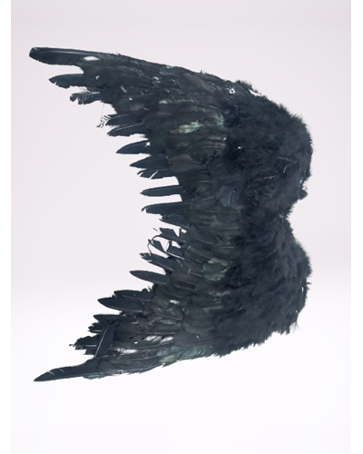 כנפיים, כנפי נוצות שחורות