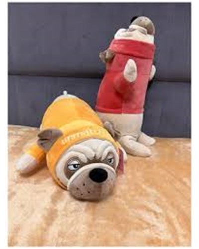 כלבלב "פאג סיני"