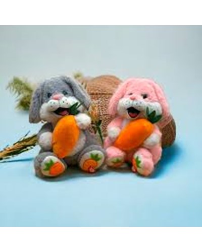 ארנב מחזיק גזר עם אוזניים מרקדות