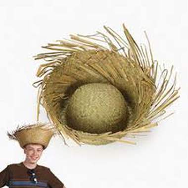 כובע קש / דחליל : image 2 כובע קש / דחליל : image 2