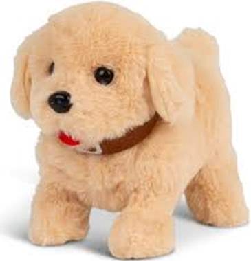 כלב פודל טוי מהלך ומצפצף : image 1 כלב פודל טוי מהלך ומצפצף : image 1