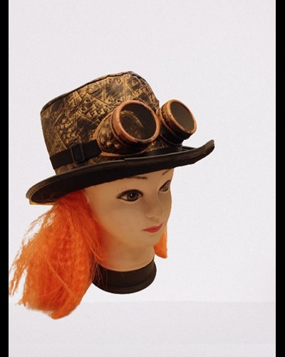 כובע הכובען המטורף עם משקפיים