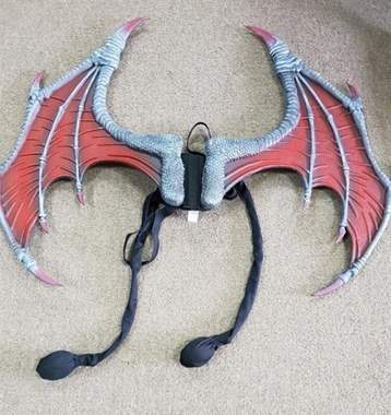 כנפיים מתעופפות ע"י פומפה : image 1