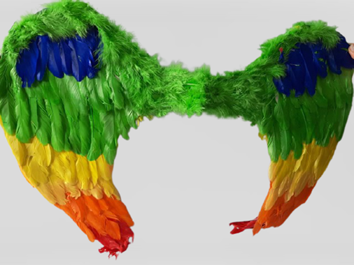 כנפי נוצות צבעוניות, כנפי תוכי : image 1