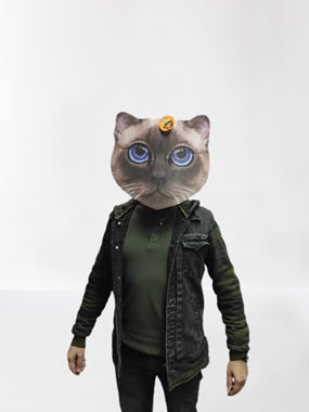 מסכת חתול מיוחדת : image 1