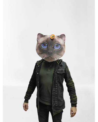 מסכת חתול מיוחדת