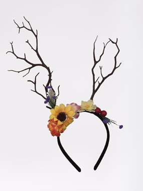 קשת במבי מהודרת : image 1 קשת במבי מהודרת : image 1